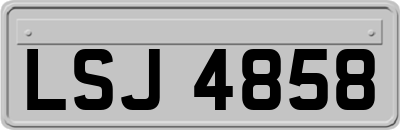 LSJ4858
