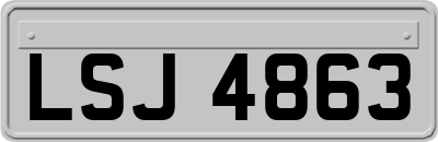 LSJ4863