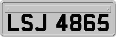 LSJ4865