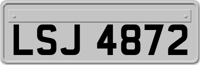LSJ4872