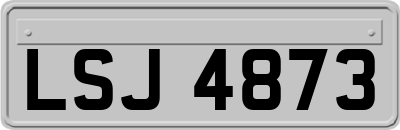 LSJ4873