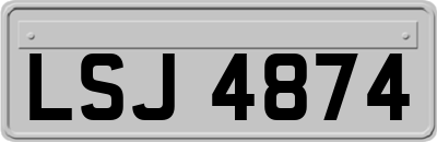 LSJ4874