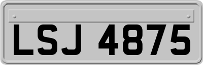 LSJ4875