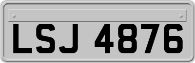 LSJ4876