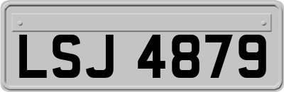 LSJ4879
