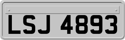 LSJ4893