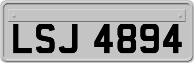 LSJ4894