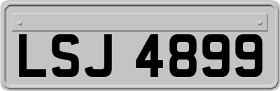 LSJ4899