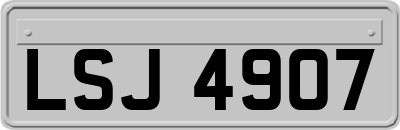 LSJ4907