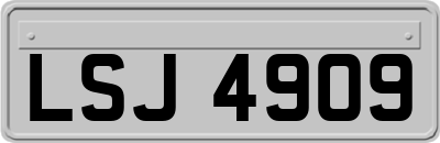 LSJ4909