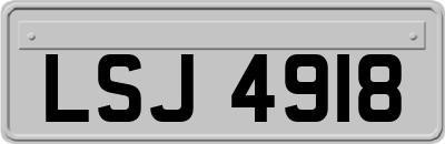 LSJ4918