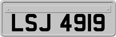 LSJ4919
