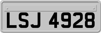 LSJ4928