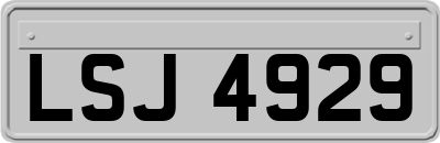 LSJ4929
