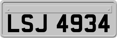 LSJ4934