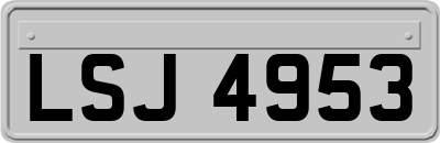LSJ4953