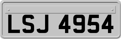 LSJ4954