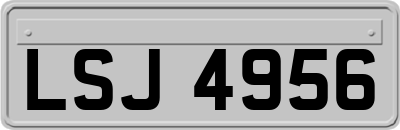LSJ4956