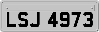 LSJ4973