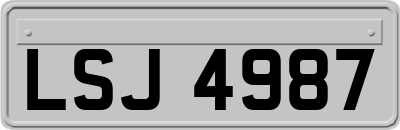 LSJ4987