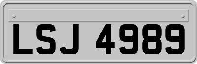 LSJ4989
