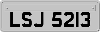 LSJ5213