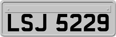 LSJ5229