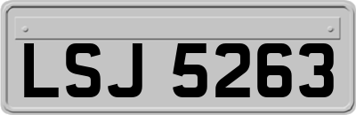 LSJ5263