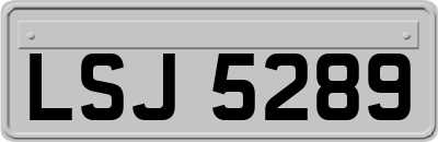 LSJ5289