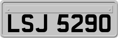LSJ5290