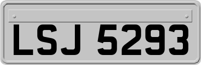 LSJ5293