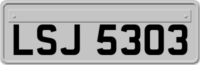 LSJ5303