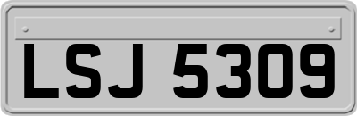 LSJ5309