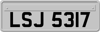LSJ5317
