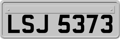LSJ5373