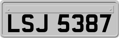 LSJ5387