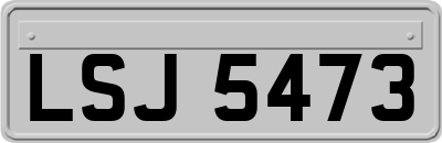 LSJ5473