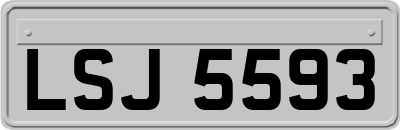 LSJ5593
