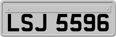 LSJ5596