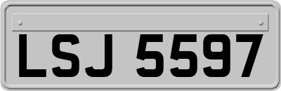 LSJ5597