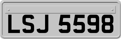 LSJ5598