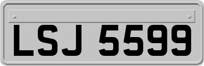 LSJ5599