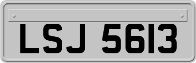 LSJ5613