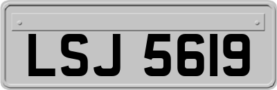 LSJ5619