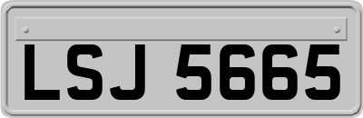 LSJ5665