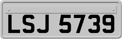 LSJ5739