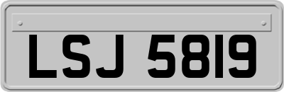 LSJ5819