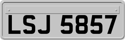LSJ5857