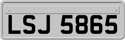 LSJ5865