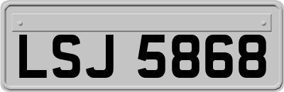 LSJ5868